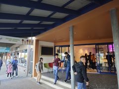 -Dooley's Premium Ice Cream