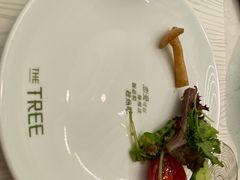 -大树餐厅(红旗街万达店)