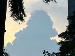 -白鹭洲公园