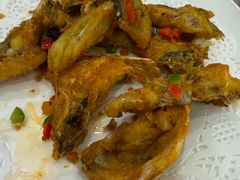-寻味顺德·南记酒家·传统顺德菜·鱼生(广源路店)
