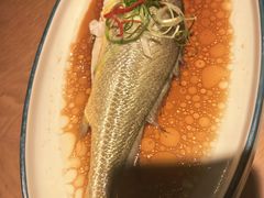 -波螺油子青岛本帮菜(银座店)