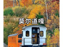 -呼伦贝尔大草原