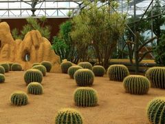 -南宫五洲植物乐园