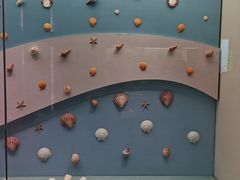 -上海中国航海博物馆