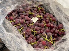 -西郊国际农产品交易中心