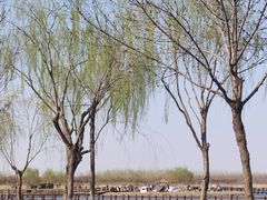 -西青郊野公园
