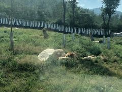 -西安秦岭野生动物园