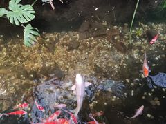 -聚缘堂·海鲜私房菜(松岭路店)