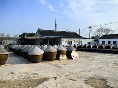 -苏州市吴中区光福窑上花果蜜饯厂