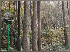 -人民公园-相亲角