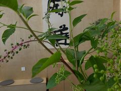 -麻雀咖啡SPARROW COFFEE(十全街店)