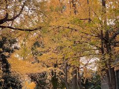 -四川大学(华西校区)