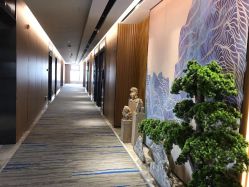 -MJ skin care国际皮肤管理中心