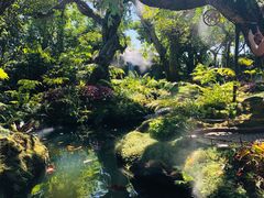 -Chom Cafe and Restaurant