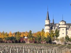 -北京张裕爱斐堡酒庄