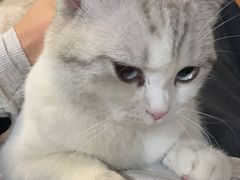 -花盐街·四川乐山小吃(西单大悦城店)