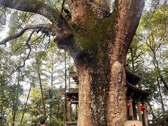 -安溪清水岩