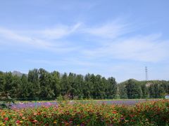 -百里山水画廊乌龙峡谷