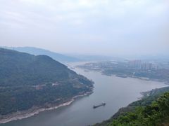 -铁山坪森林公园