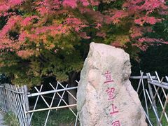 -竹子庵公园
