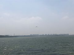 -丁香湖公园