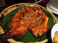 -志晖园圆子鸡·辣子鸡(阳光店)