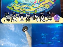 -太平洋海底世界