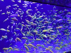 -成都浩海立方海洋公园