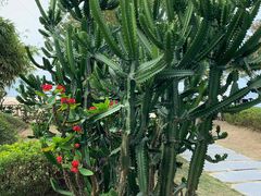 -惠州金海湾嘉华度假酒店