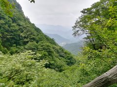 -王顺山国家森林公园