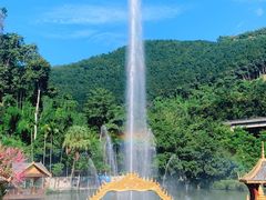 -西双版纳原始森林公园