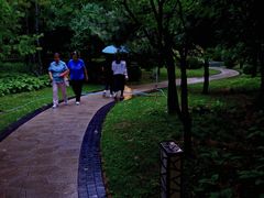 -迎泽公园