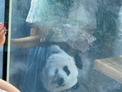 -沈阳森林动物园