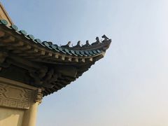 -武汉大学-樱园