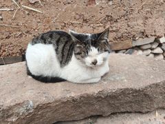 -清漾毛氏文化村