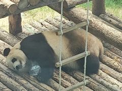 -大连森林动物园