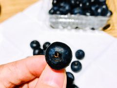 -帝玛进口精品超市D-MART