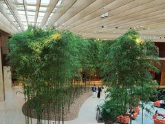 -北京望京凯悦酒店The Lounge大堂酒廊