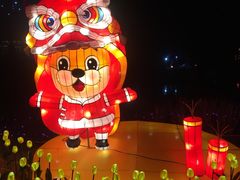-南通鲜花小镇