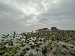 -小石岛景区