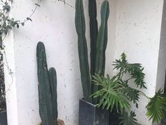 -云里小坐·小院里·团建·宴请·下午茶(三圣乡店)