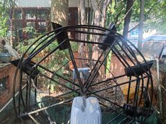 -园林美食城·本土农家菜(杨和镇店)