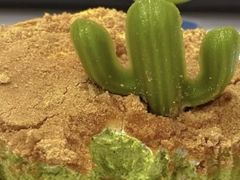 沙漠卫士蛋糕-星巴克(常州新北公园店)