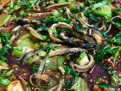 单品临江鳝丝-乐山第一家临江鳝丝(茶坊路店)