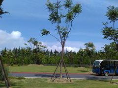 -上海长兴岛郊野公园