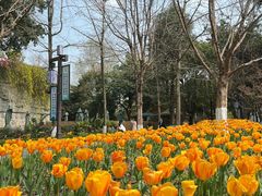 -成都市文化公园