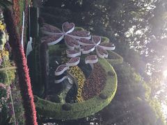 -汇龙潭