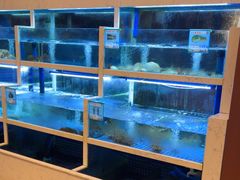 -宴悦海鲜餐厅·游水海鲜·牛排(亚龙湾瑞吉店)