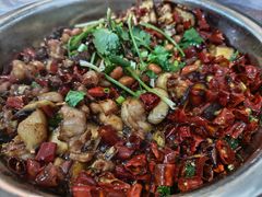 -食神又名厕所兔