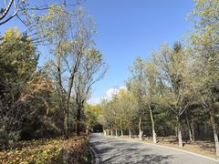 -青藏高原野生动物园